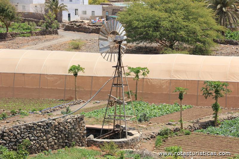 A única zona agrícola de São Vicente - Vale da Ribeira do Calhau