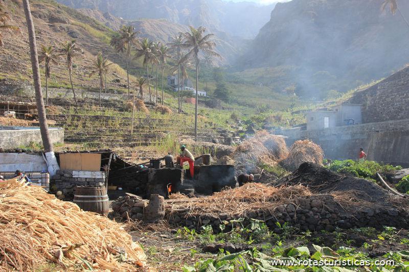Destilaria de cachaça, ilha de Santo Antão, Cabo Verde