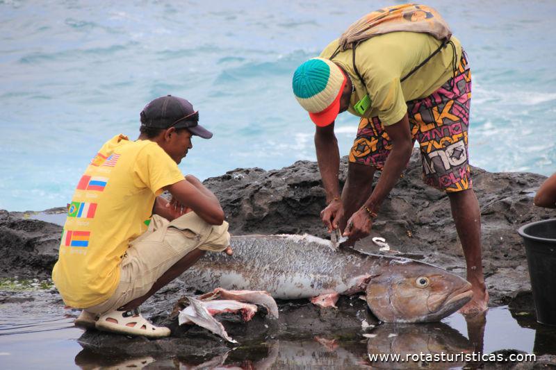 Pescadores de Ponta do Sol, Ilha de Santo Antão