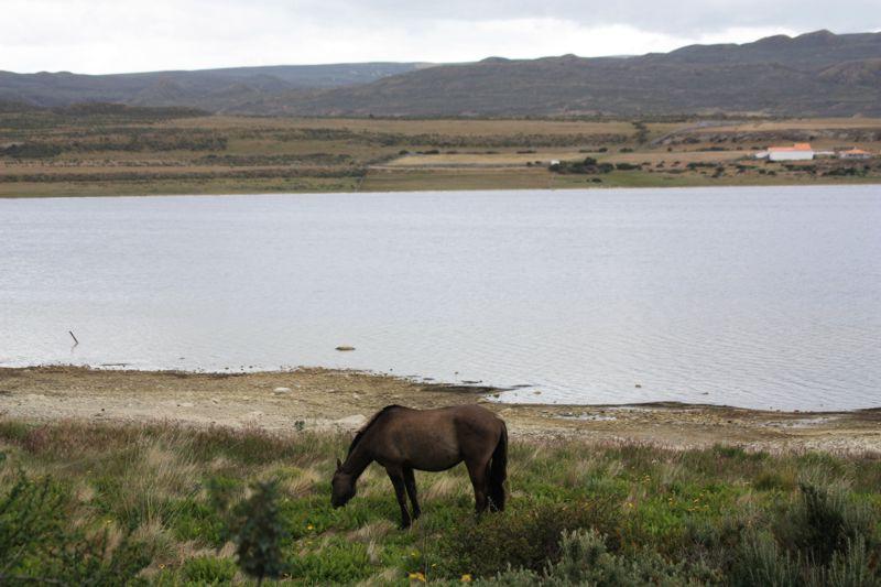 Paisagens de Porvenir