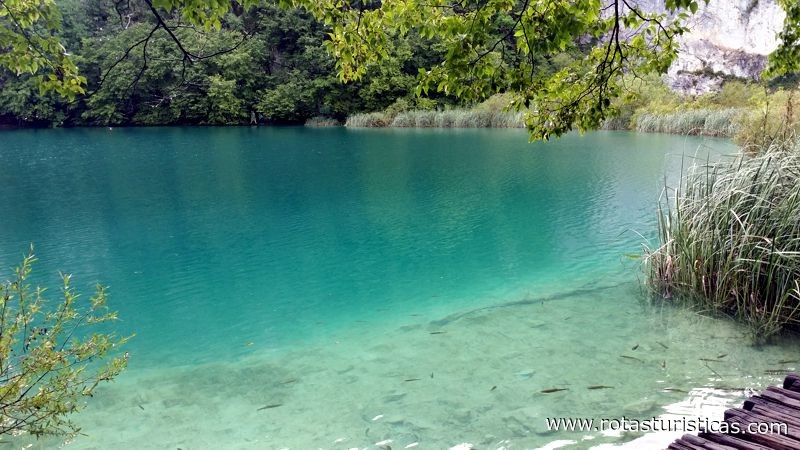 Parque Nacional Dos Lagos de Plitvice
