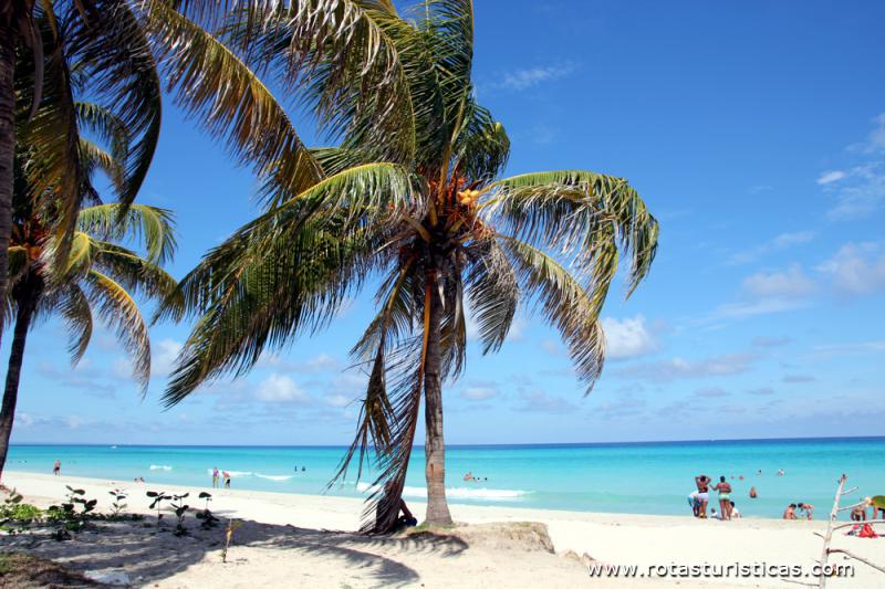 Playas de Varadero
