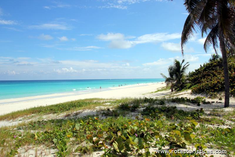 Playas de Varadero