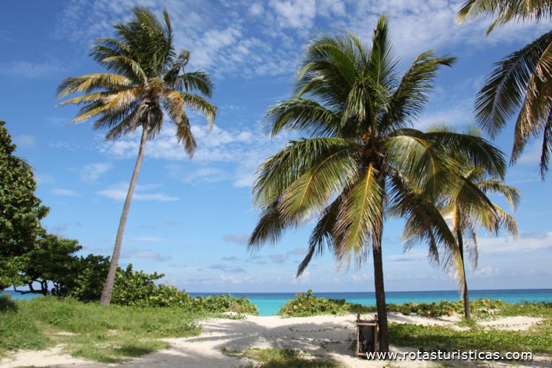 Playas de Varadero