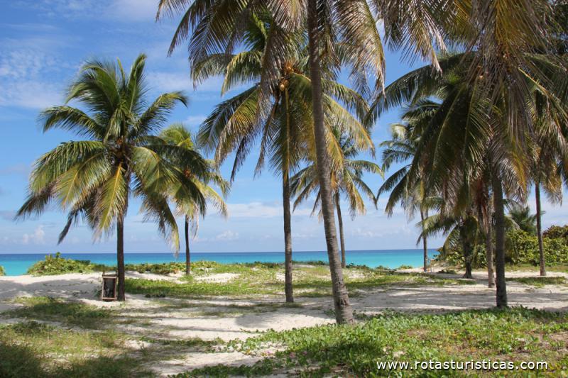 Playas de Varadero