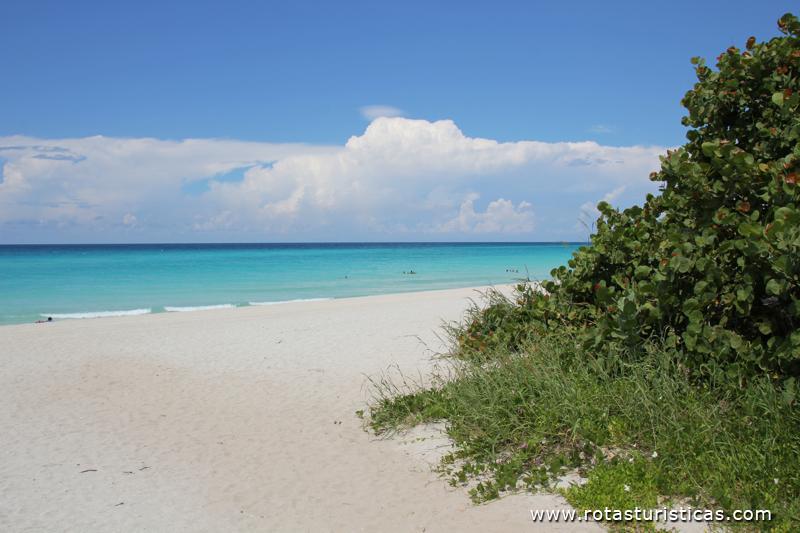Playas de Varadero