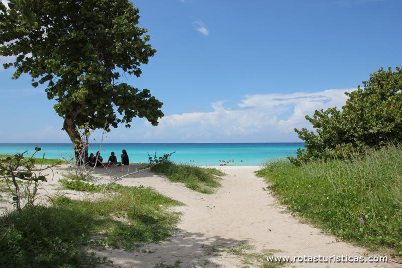 Playas de Varadero