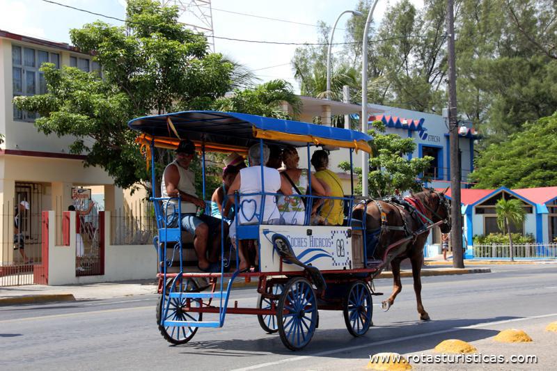 Taxi Hicacos