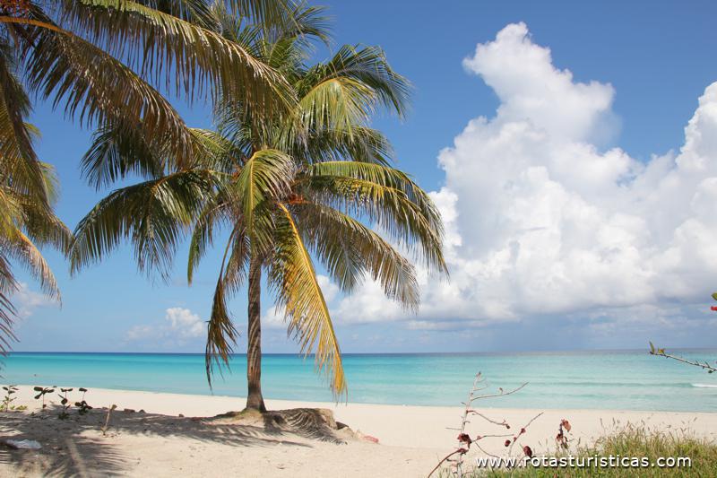 Varadero - Cuba