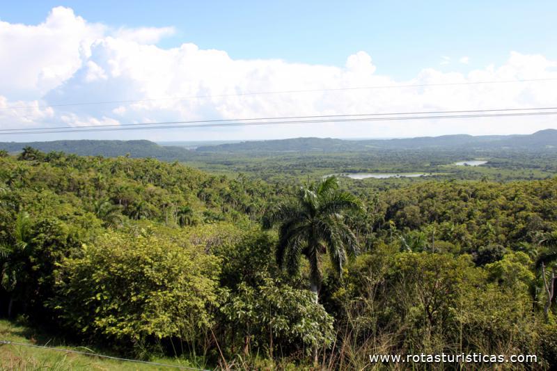 Valle Yumuri