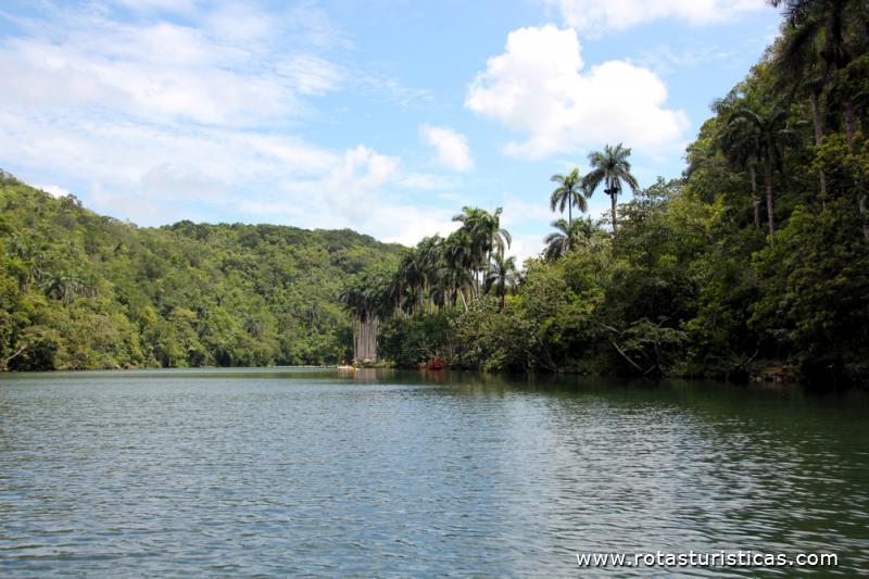 Rio Canimao