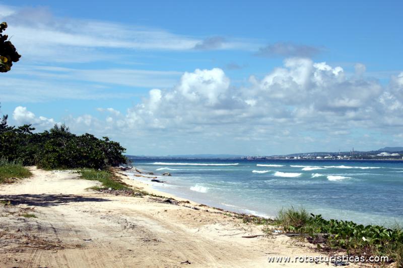 Costa de Matanzas