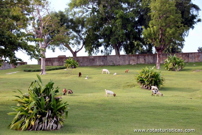 Parque Montserrat, Matanzas