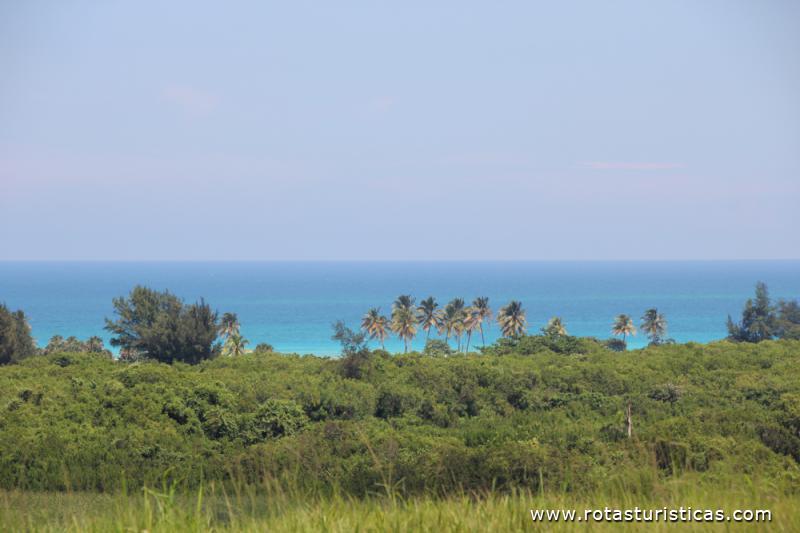 Playas del Este
