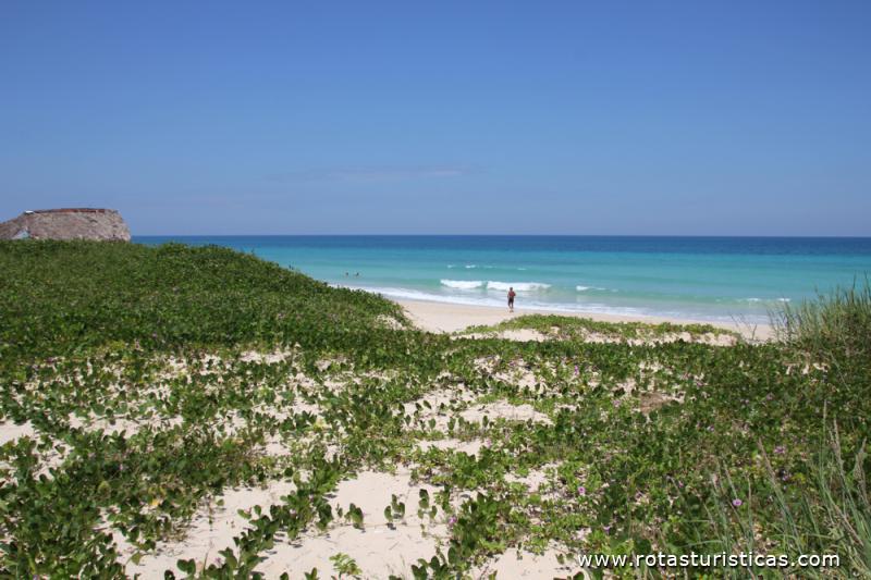 Playa Tarara - Playas del Este
