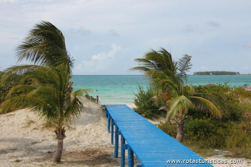 Cayo Guillermo - Cuba