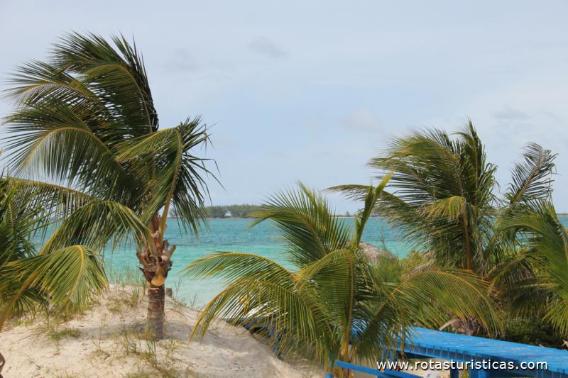 Playa Pilar