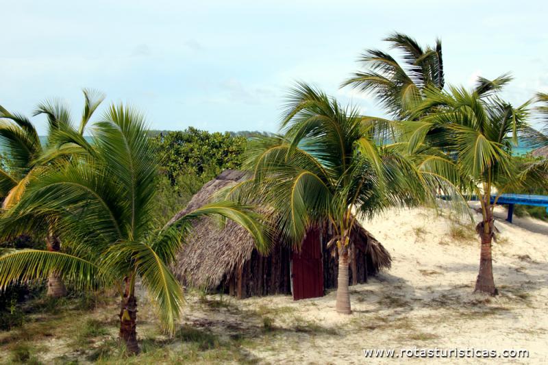 Playa Pilar