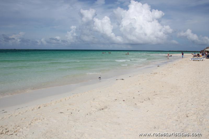 Playa Pilar
