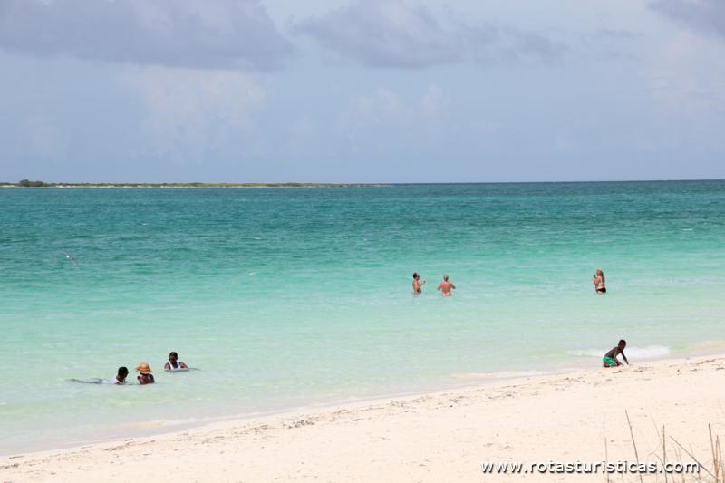 Playa Pilar