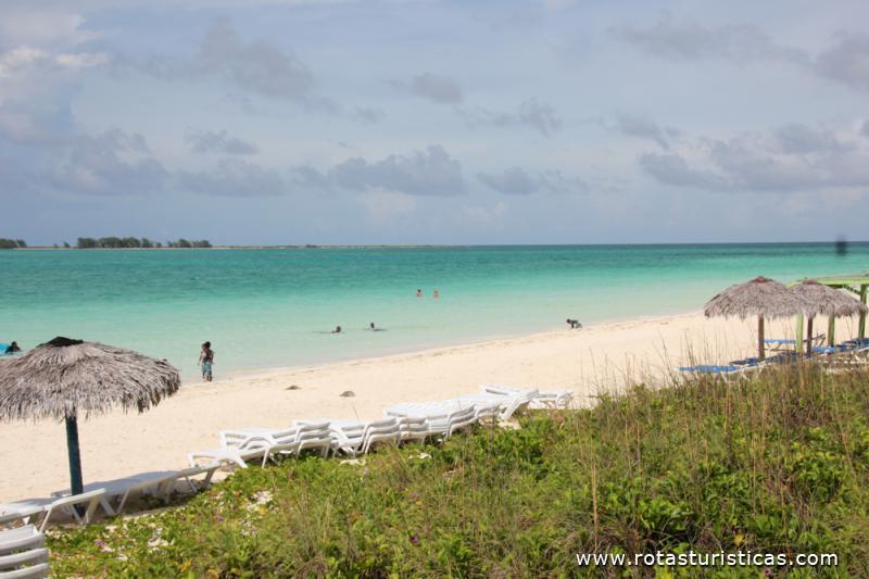 Playa Pilar