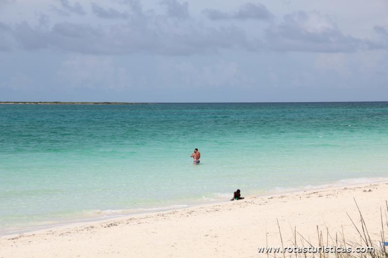 Playa Pilar