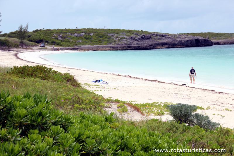 Playa Pilar
