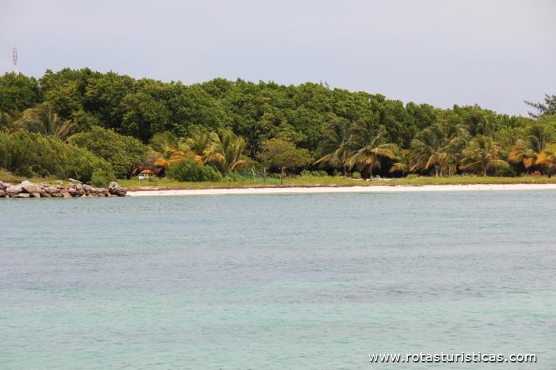 Cayo Guillermo