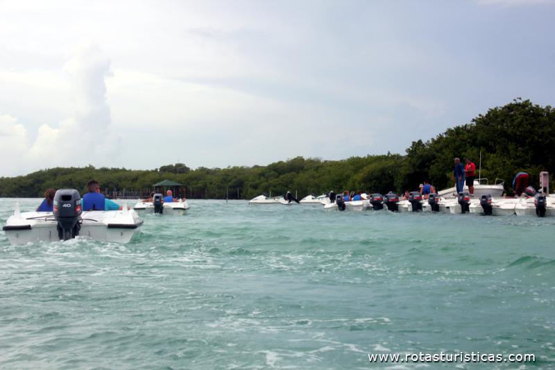 Boat safari em Cayo Guillermo