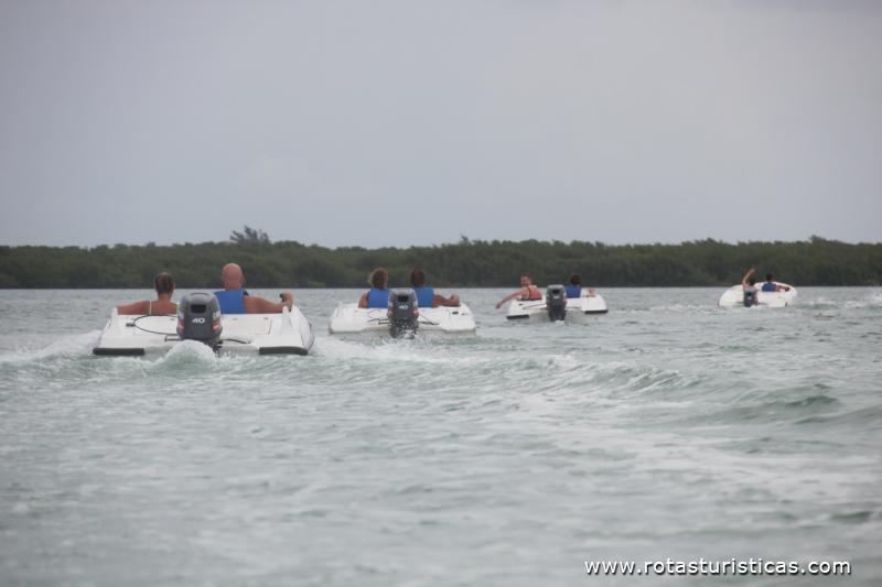 Boat safari em Cayo Guillermo