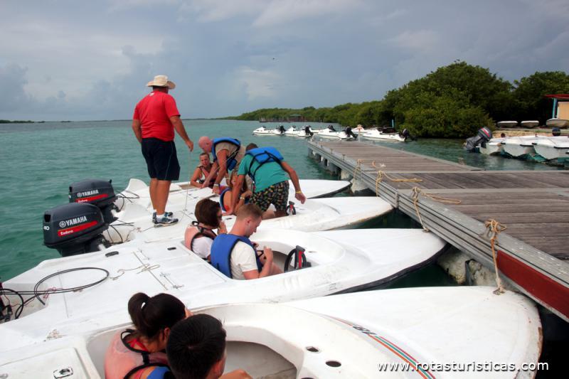 Boat safari em Cayo Guillermo