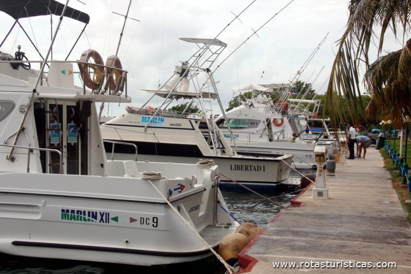 Marina de Cayo Guillermo