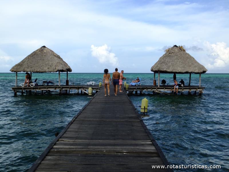 Hotel Melia Cayo Guillermo