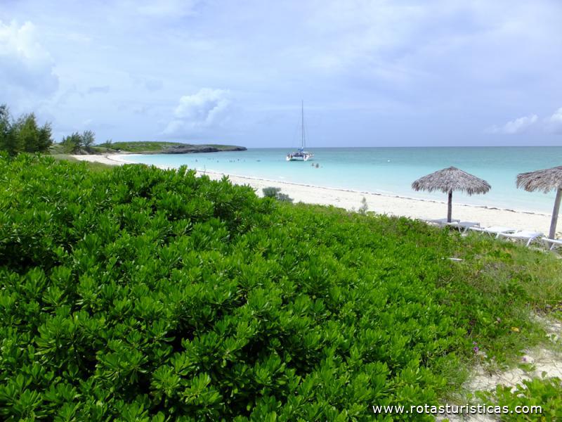 Cayo Guillermo - Cuba