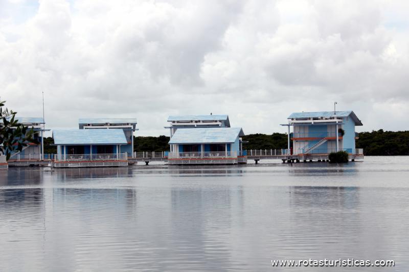 Hotel Melia Cayo Coco