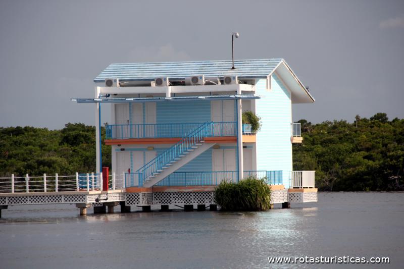 Hotel Melia Cayo Coco