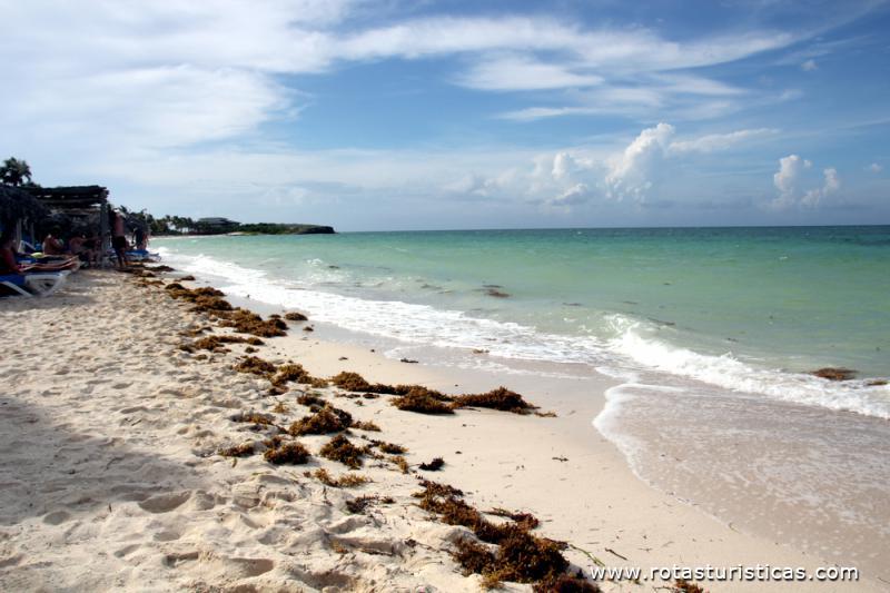 Praias de Cayo Coco