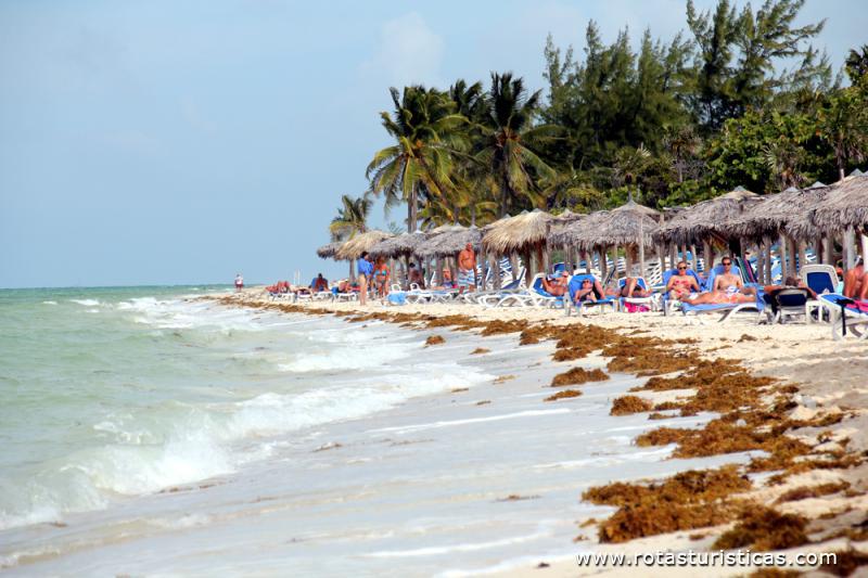 Cayo Coco - Cuba