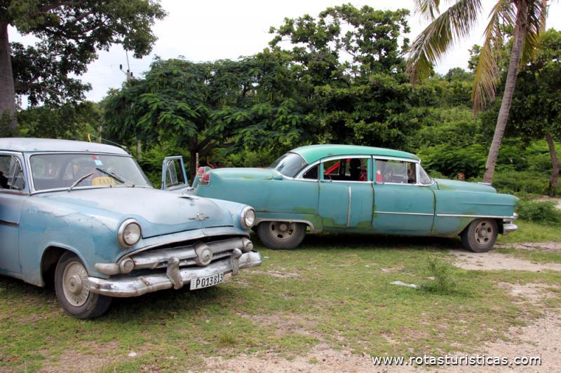 Museu automóvel em movimento