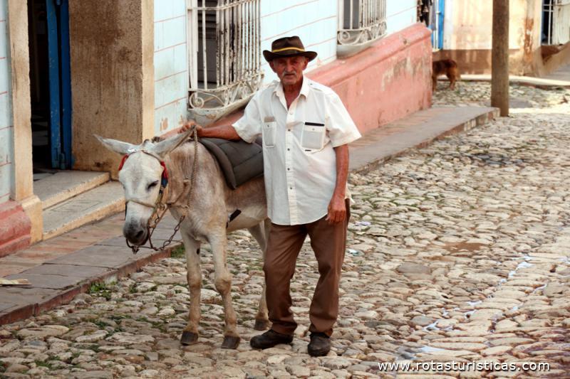 Figura típica