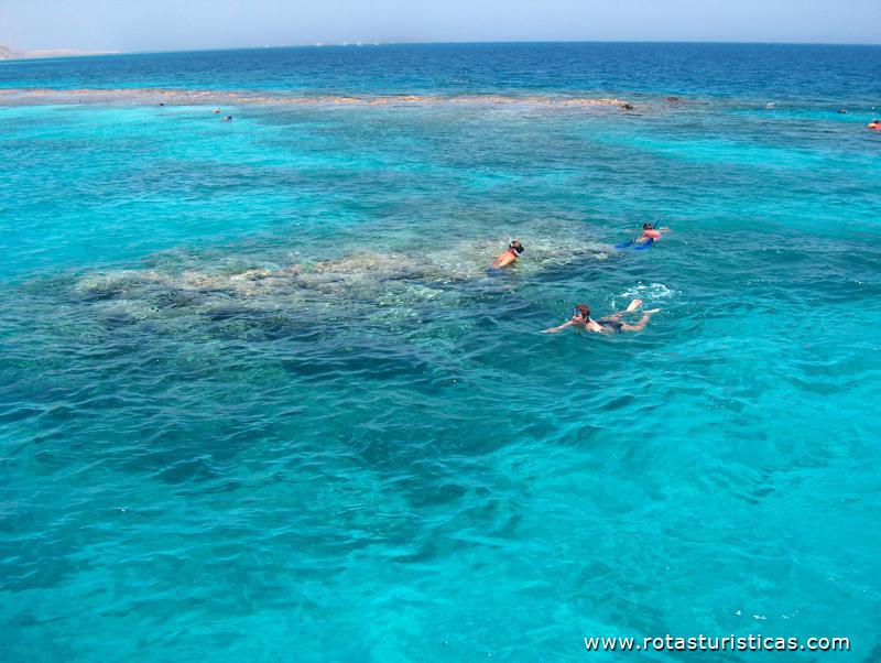 Paragem num recife de coral para fazer snorkling (a caminho de Giftun Island)