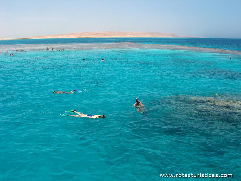 Paragem para fazer snorkling (a caminho da ilha Giftun)