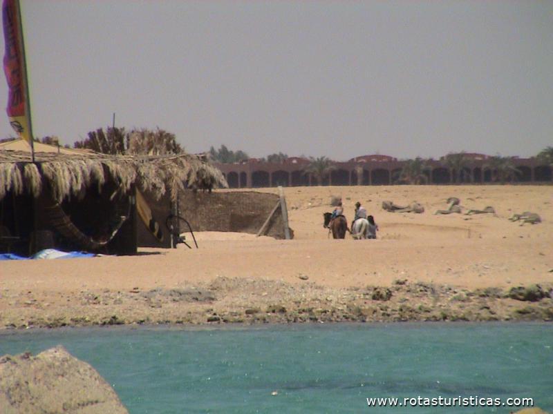 Praia de Hurghada e os famosos passeios a cavalo