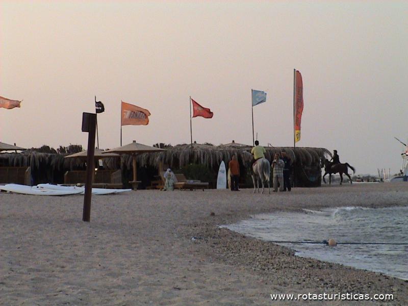 Passeios a cavalo na Praia de Hurghada