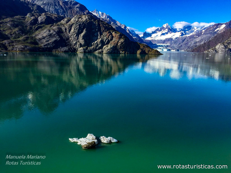 Johns Hopkins Glacier