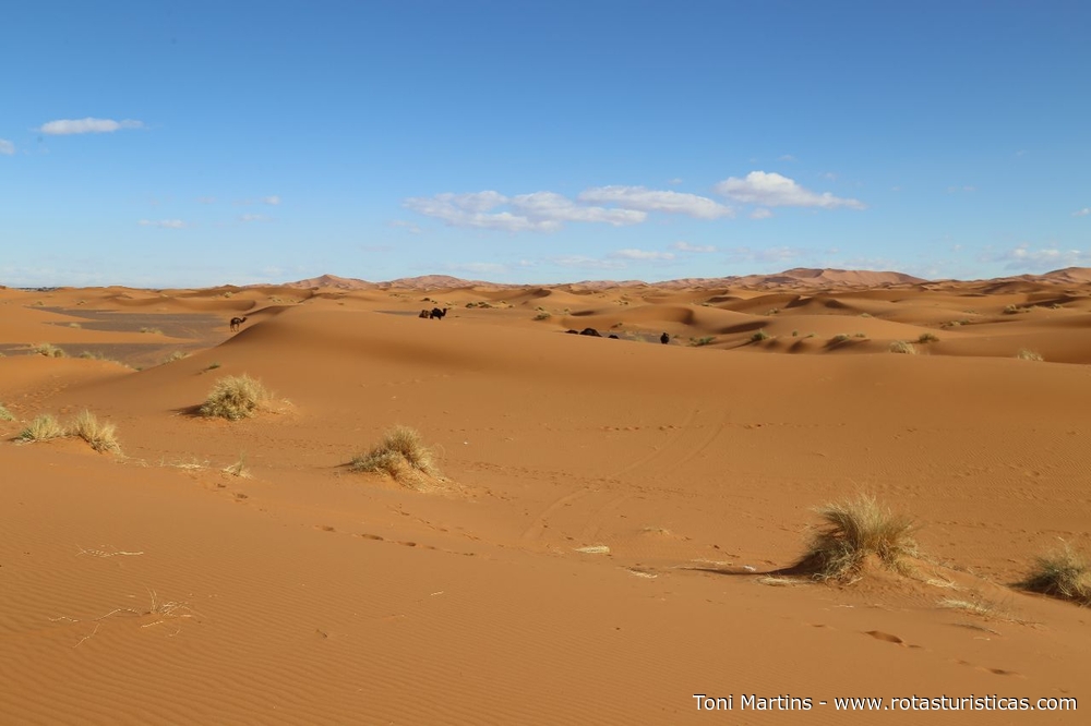 Deserto de Merzouga