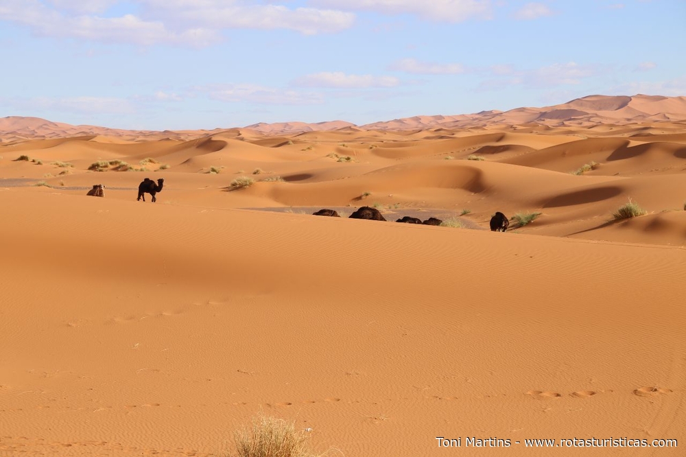 Dunas do deserto de Merzouga
