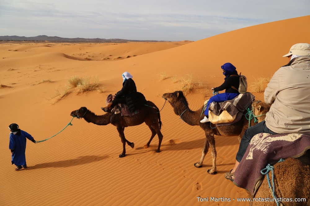 Camelos nas dunas do deserto de Merzouga