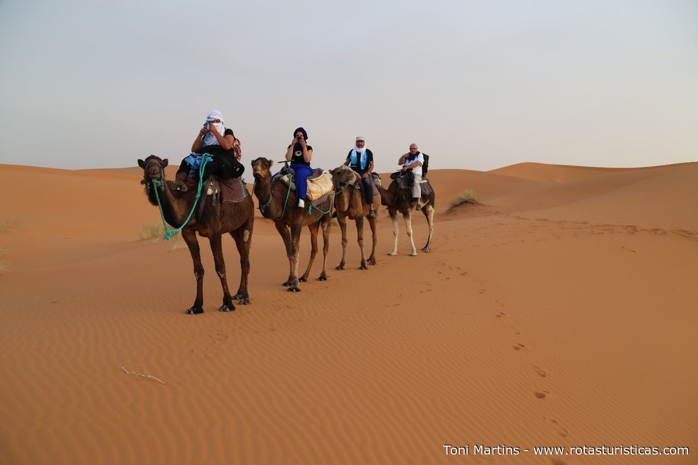 Camelos nas dunas do deserto de Merzouga