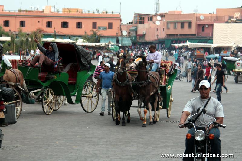 Praça DJemaa El Fna